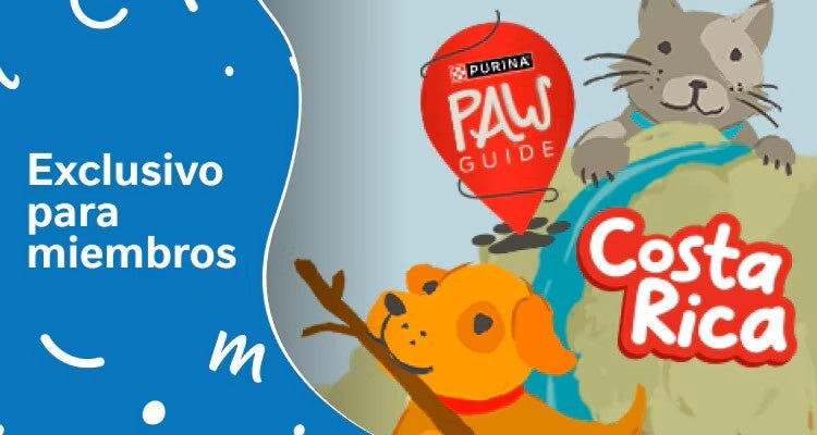 Purina Paw Guide: Costa Rica La Guía del Pet Lover
