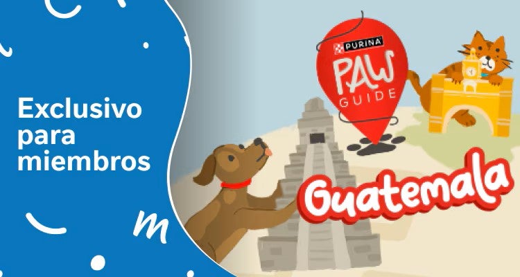 Purina Paw Guide: Guatemala  La Guía del Pet Lover