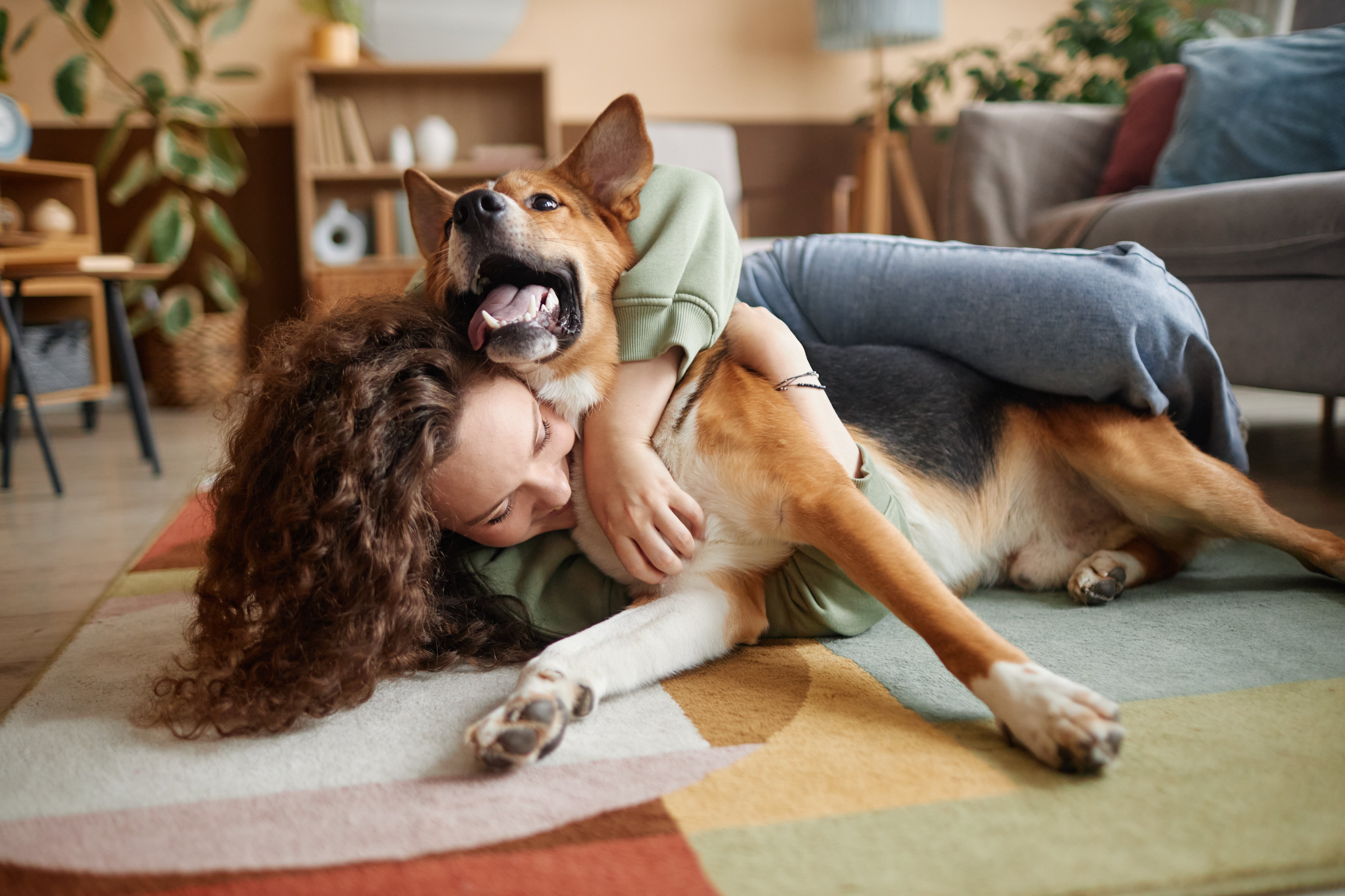 Día Internacional del Perro: celebra junto a tu mejor amigo