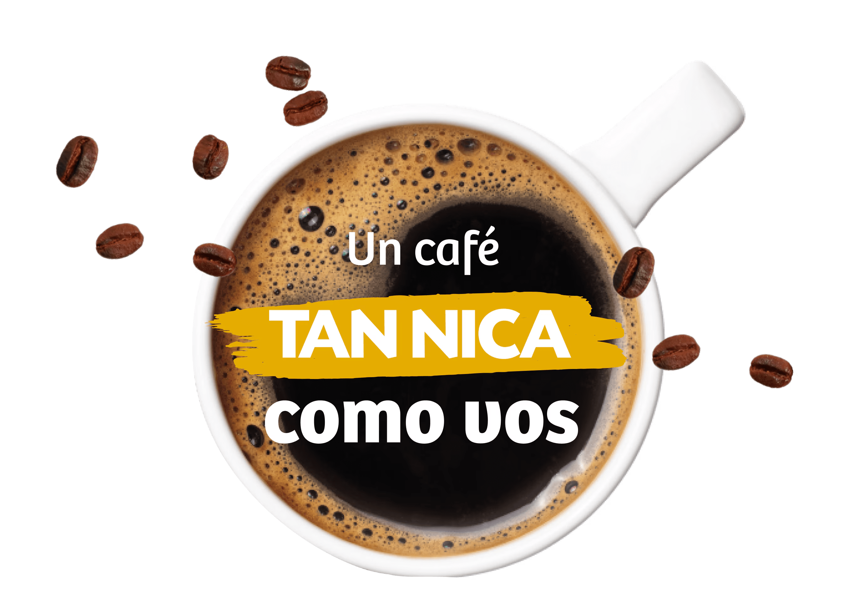 Tan Nica como vos